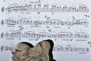 Peter Dickinson 'Air' on the desk with a section of fossil seafloor from Nashville TN 29 2 16