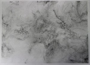 No 5: numquam deinde cavo volitantia prendeere saxo. (8H, 5H, 3H) 12 12 14