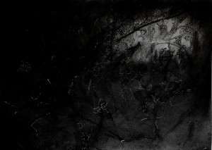 No 12.  Mariana/Askr (Graphite, Ink, Charcoal, White Pencil) 7 1 15