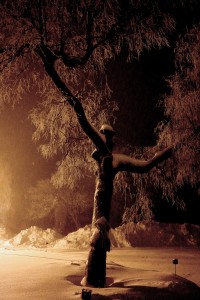 First night at Lysebu 23 1 15