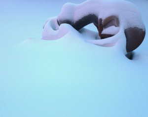 Counterpoints-snow-sclupted light 25 1 15