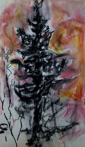 Conifer, lamplight, hillside, snow 23 1 15