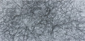 Curlew. River Ure, Yorkshire 21 11 15