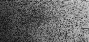 Buzzard (Buteo Buteo) Blackberry Castle