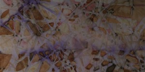 Dipper (Cinclus Cinclus) River Axe