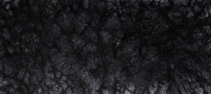 Alcedo Atthis: Kingfisher's view. Frenchman's Creek, Low Tide. Birds of my Childhood 30 11 15