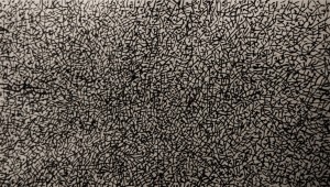 Treecreeper(Certhia familiaris) 5 12 15