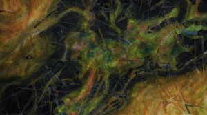 Greenfinch(Carduelis Chloris) Woodfor Green