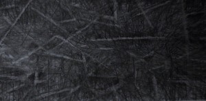 Feral Pigeon/Rock Dove (Columba Livia) London Underground 6 12 15