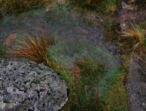 Granite and Water on the Moor. 9-1 16