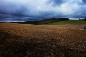 After nearly two years with my feet on this path, it is impossible not to look at these now familiar landscapes, and the change of seasons, through the lens of the women and men of World War I, who have taught me so much. Towards Westwell, birds rising from the freshly sown field. 7 4 16