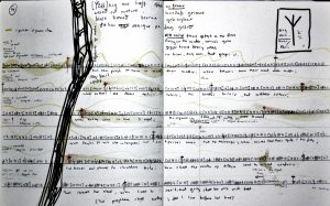 No 11. Elk Sedge, 27 11 16